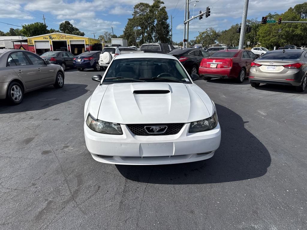 2004 WHITE FORD MUSTANG (1FAFP40434F) with an 3.8L engine, Automatic transmission, located at 2929 9th St. West, Bradenton, 34205, (941) 242-2810, 27.473591, -82.570679 - Thanks for inquring into DriveNation USA! All vehicles listed can be viewed at www.drivenationusa.com for vehicle history reports and additonal info. We cannot quote any terms such as down payments or monthly payments without an application. You can apply directly at www.drivenationusa.com or by con - Photo#2