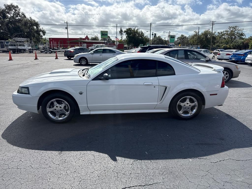 2004 WHITE FORD MUSTANG (1FAFP40434F) with an 3.8L engine, Automatic transmission, located at 2929 9th St. West, Bradenton, 34205, (941) 242-2810, 27.473591, -82.570679 - Thanks for inquring into DriveNation USA! All vehicles listed can be viewed at www.drivenationusa.com for vehicle history reports and additonal info. We cannot quote any terms such as down payments or monthly payments without an application. You can apply directly at www.drivenationusa.com or by con - Photo#4
